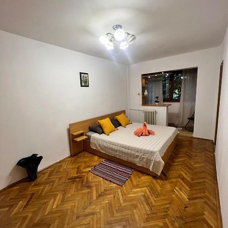 Miha Modern And Central Apartament Malul Muresului Arad Exterior foto