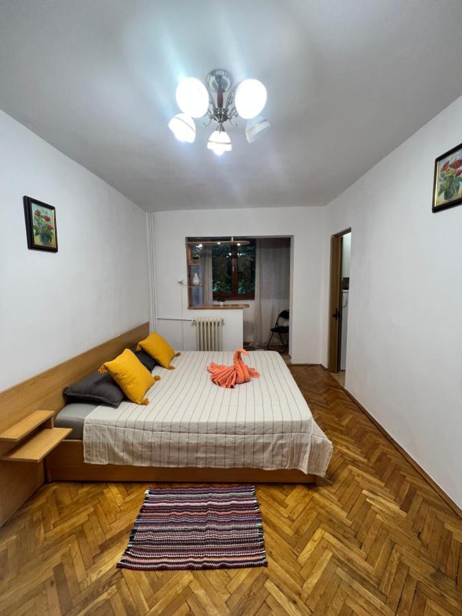 Miha Modern And Central Apartament Malul Muresului Arad Exterior foto