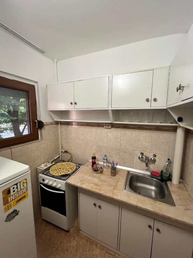 Miha Modern And Central Apartament Malul Muresului Arad Exterior foto