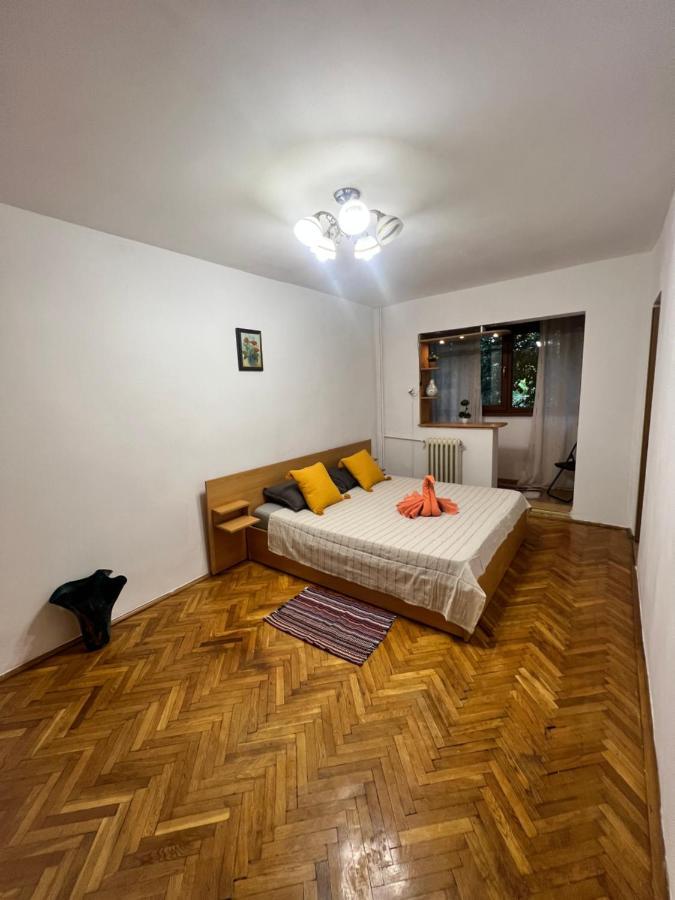 Miha Modern And Central Apartament Malul Muresului Arad Exterior foto