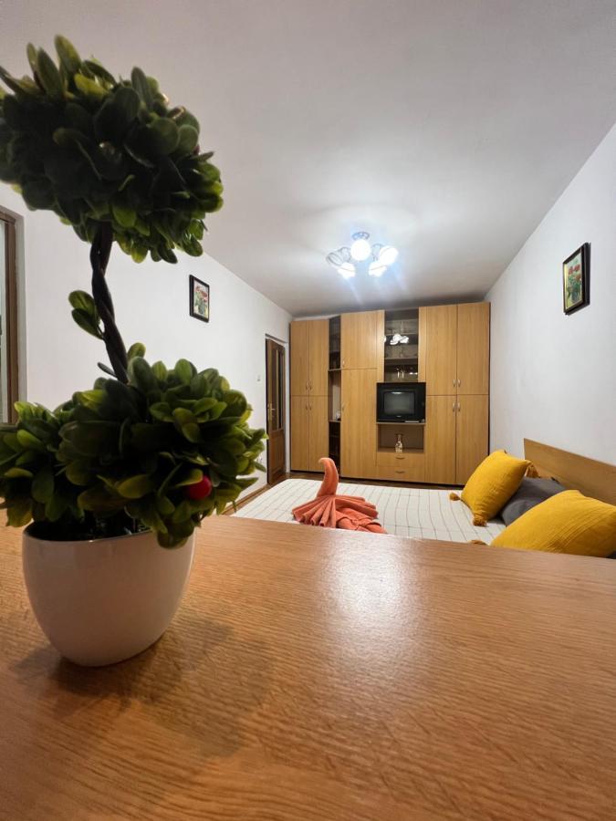 Miha Modern And Central Apartament Malul Muresului Arad Exterior foto
