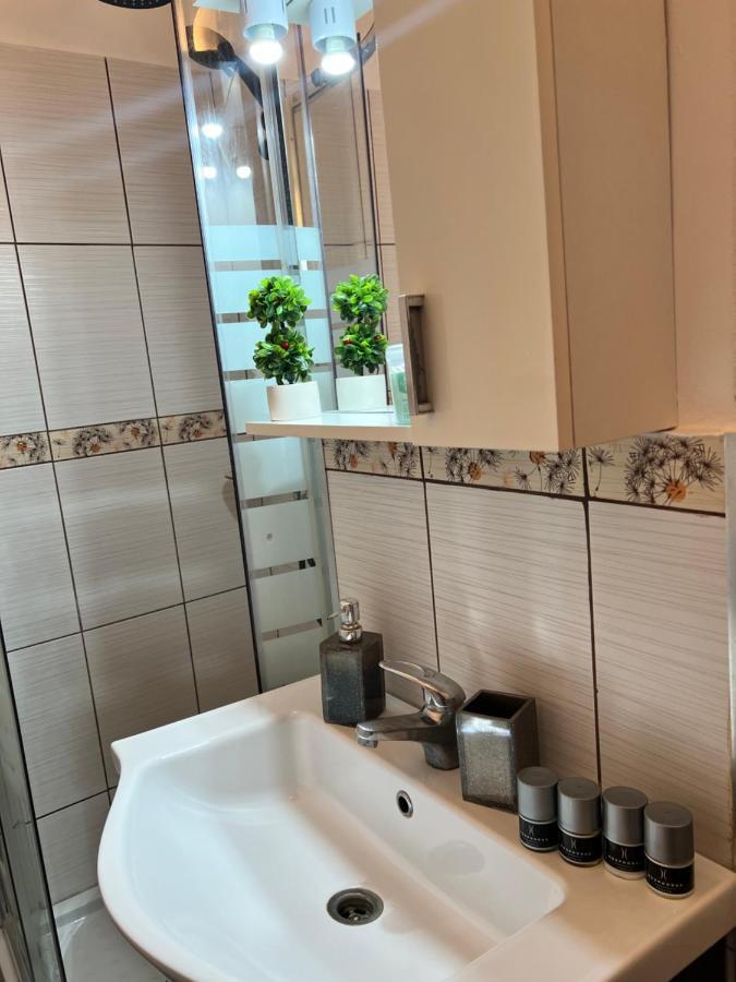 Miha Modern And Central Apartament Malul Muresului Arad Exterior foto