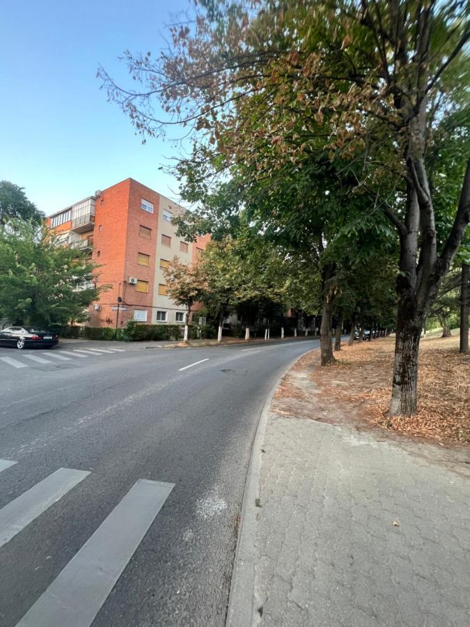 Miha Modern And Central Apartament Malul Muresului Arad Exterior foto